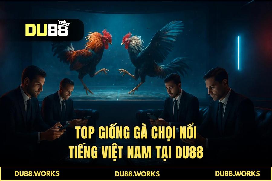 Tại sao DU88 là sự lựa chọn số 1 của cộng đồng đam mê đá gà trực tuyến 2026