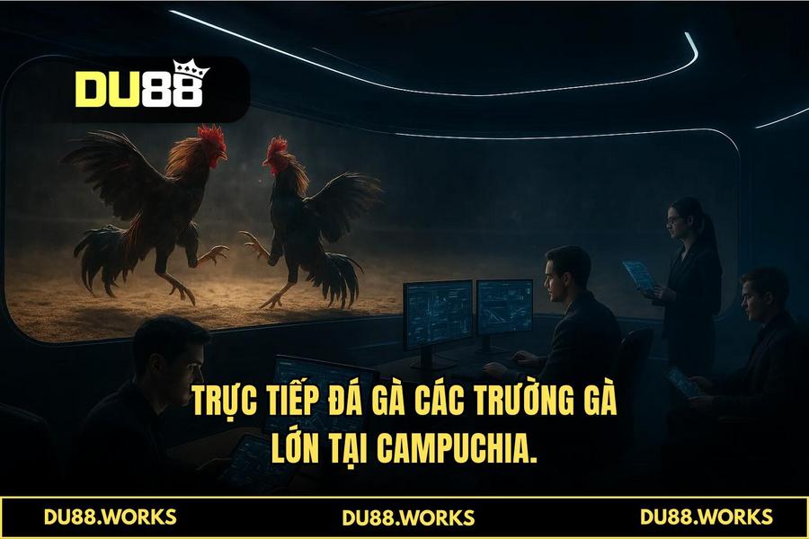 Tại sao DU88 là sự lựa chọn số 1 của cộng đồng đam mê đá gà trực tuyến 2026