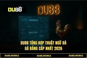 Tổng hợp thuật ngữ đá gà 2026: Cẩm nang Sư Kê DU88