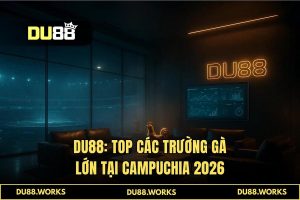 Các trường gà lớn tại Campuchia: Đấu trường Thomo rực lửa 2026 DU88